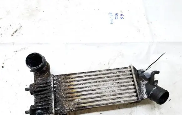Peugeot 406 Intercooler radiator
