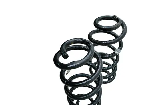Rear coil spring