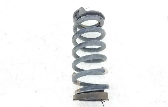 Ford Edge II Rear coil spring F2GC5560 F2GC5560FND Q48PA