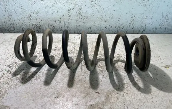 Volkswagen PASSAT B6 Rear coil spring