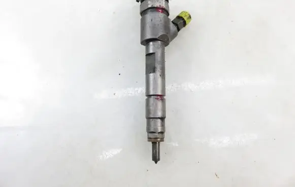 Suzuki Grand Vitara II Fuel injector 87200389369 0445110230