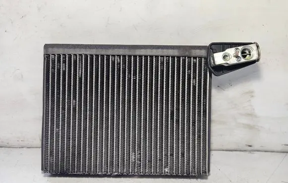 Mercedes-Benz R W251 Air conditioning (A/C) radiator (interior) A1648300084