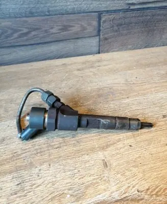 Renault Scenic I Fuel injector