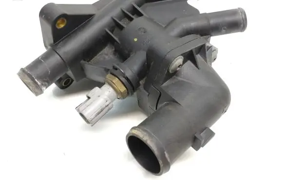 Thermostat/thermostat housing