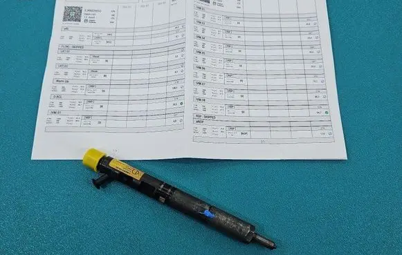 Hyundai Terracan Fuel injector EJBR02901D IMPRK1461146