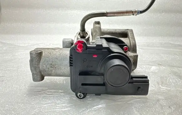 Volkswagen Touareg I EGR valve 0502070000 D502070000