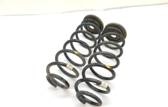 Skoda Scala Rear coil spring 2Q0511121