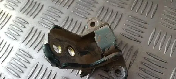 Nissan Almera Rear door lower hinge