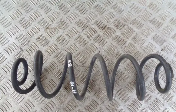 Rear coil spring