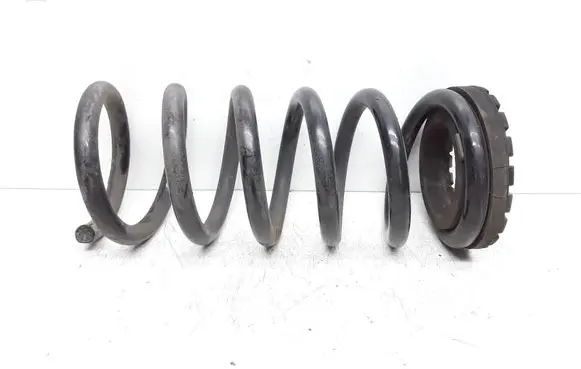Rear coil spring