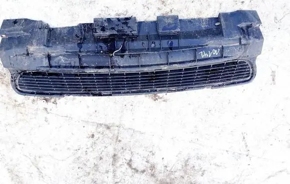 Mercedes-Benz A W169 Front bumper lower grill a1698850023