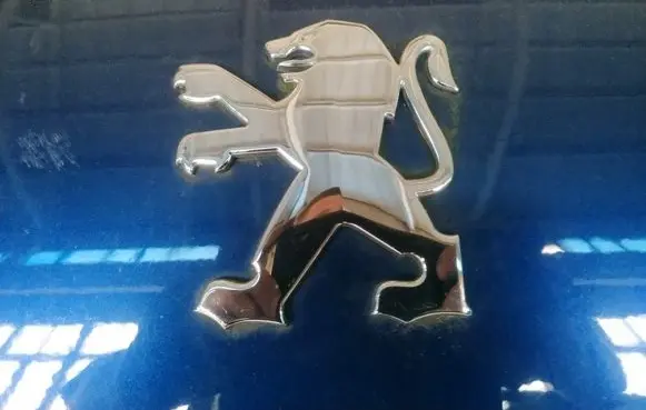 Manufacturer badge logo/emblem
