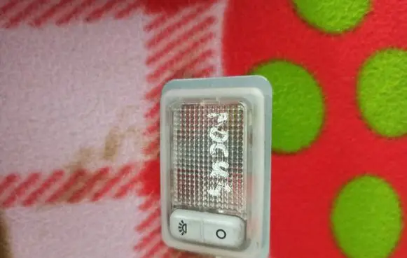 Ford Focus Rear seat light
