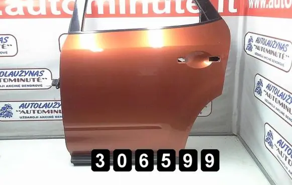 Nissan Murano Z50 Front door R10