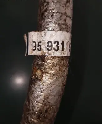 Opel Antara Fuel main line pipe 95931574