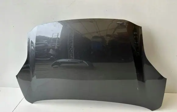 Ford Puma Engine bonnet/hood L1TBS16854AD