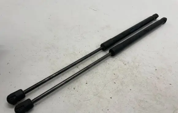 Opel Insignia A Tailgate/trunk strut/damper 22798954