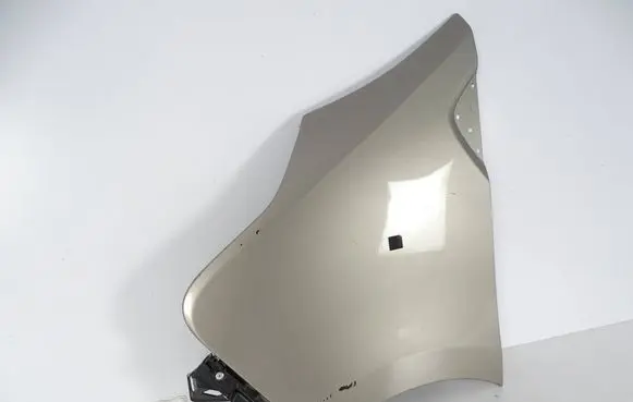 Renault Trafic III (X82) Fender BL105