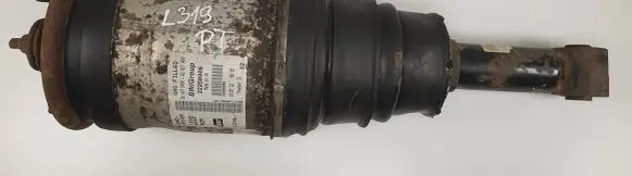 Land Rover Discovery 4 - LR4 Rear shock absorber/damper 22250006