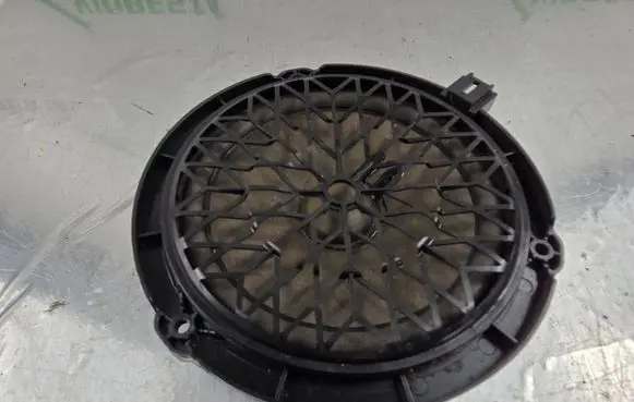 Front door speaker