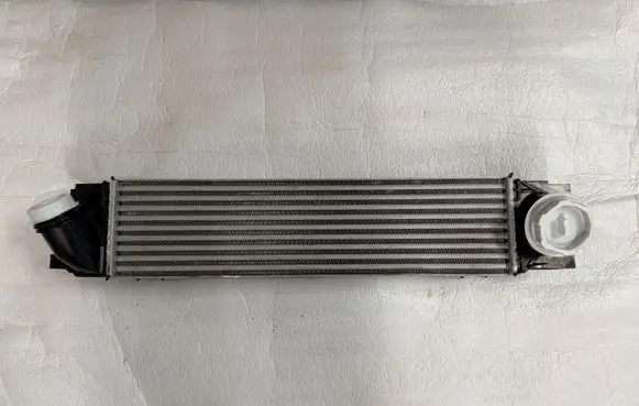 BMW X1 U11 Refrigerator 9846916 251363 365804428