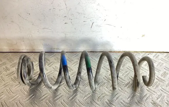 Lexus NX Rear coil spring