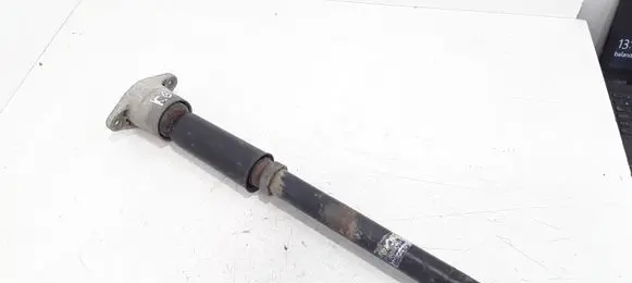 Audi A4 S4 B6 8E 8H Rear shock absorber/damper