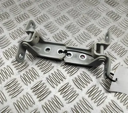 Hyundai IONIQ 6 Front door hinges set 76910T4000