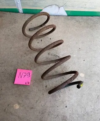 Renault Laguna II Front coil spring