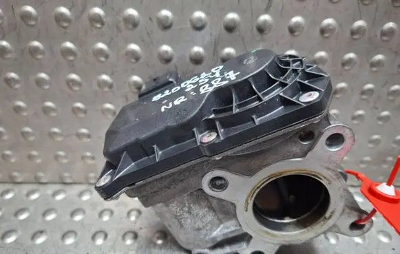 Renault Laguna III Throttle body valve S26338887 8200619046