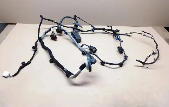 Rear door wiring loom