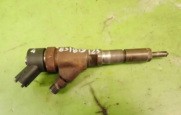 Citroen C5 Fuel injector
