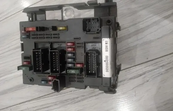 Peugeot 206+ BSM Control unit 9650664080