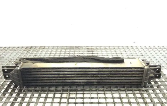 Opel Antara Intercooler radiator 96629070