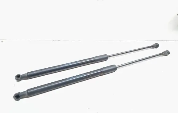 BMW 1 F20 F21 Tailgate/trunk strut/damper 7239871