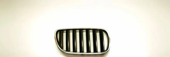 BMW X3 E83 Front bumper upper radiator grill 51113420088 3420088