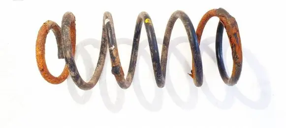 Rear coil spring