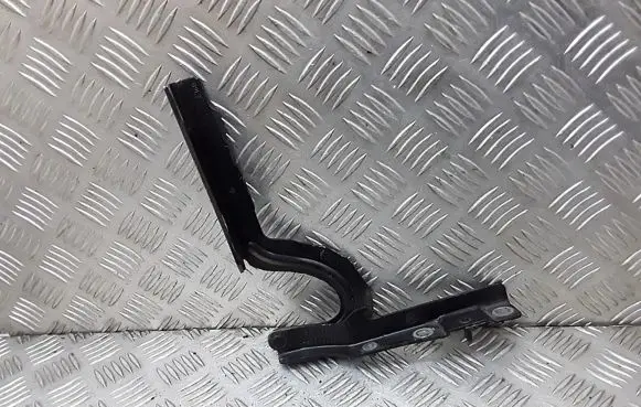 Fiat Scudo Engine bonnet/hood hinges 1499346080