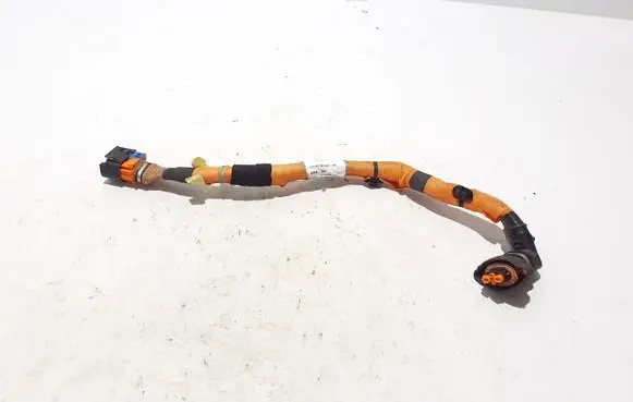 Renault Kangoo III Other wiring loom 240413176R