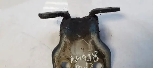 KIA Rio Rear door lower hinge