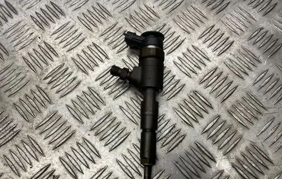 Peugeot 206 Fuel injector 0445110135 0TT5462
