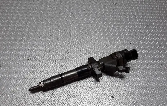 Renault Espace - Grand espace IV Fuel injector 0445110084