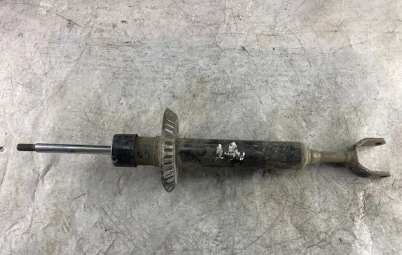 Volkswagen PASSAT B5 Front shock absorber/damper 3b0413031