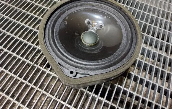 Honda Odyssey Rear door speaker