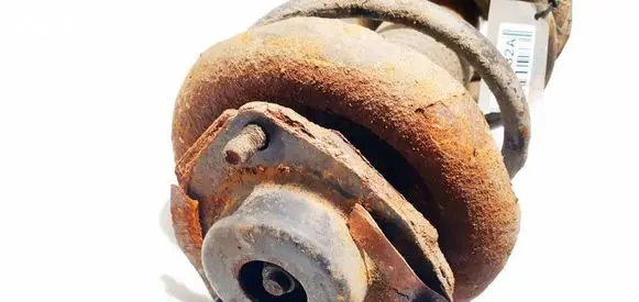 Coil spring mount