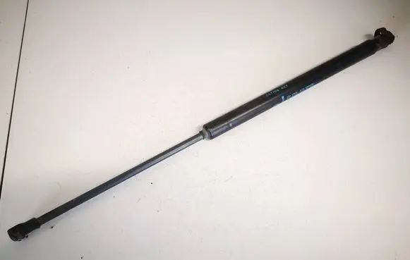 Tailgate/trunk strut/damper