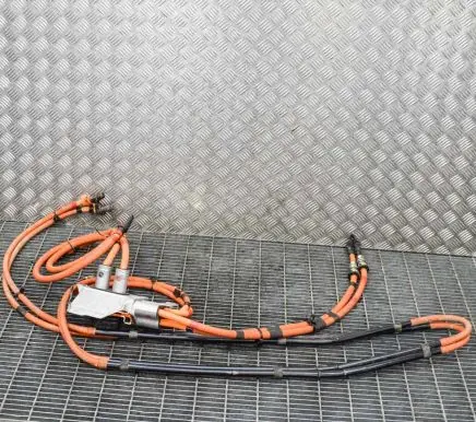 Tesla Model S Other wiring loom