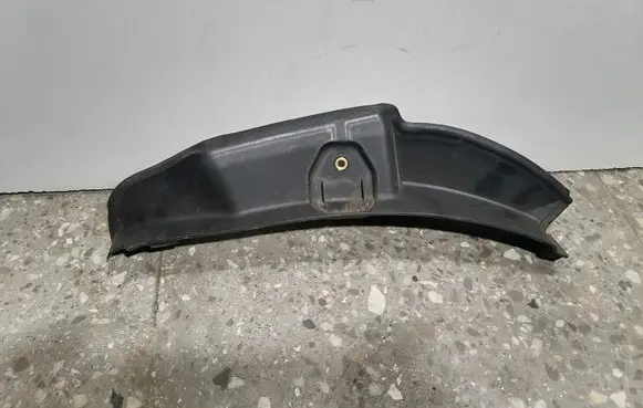 Rear/tail light trim molding