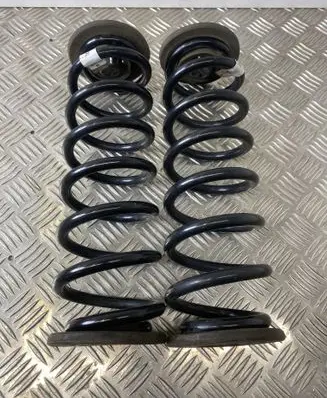 Rear coil spring