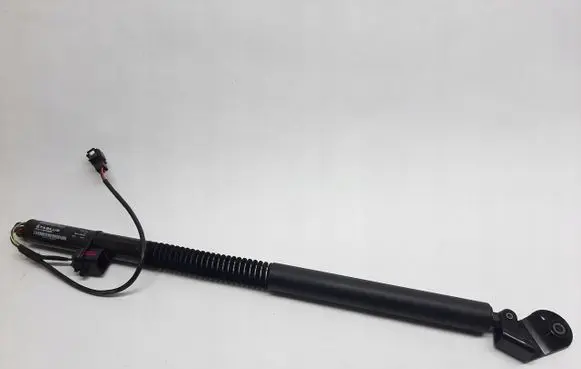 Tailgate/trunk strut/damper